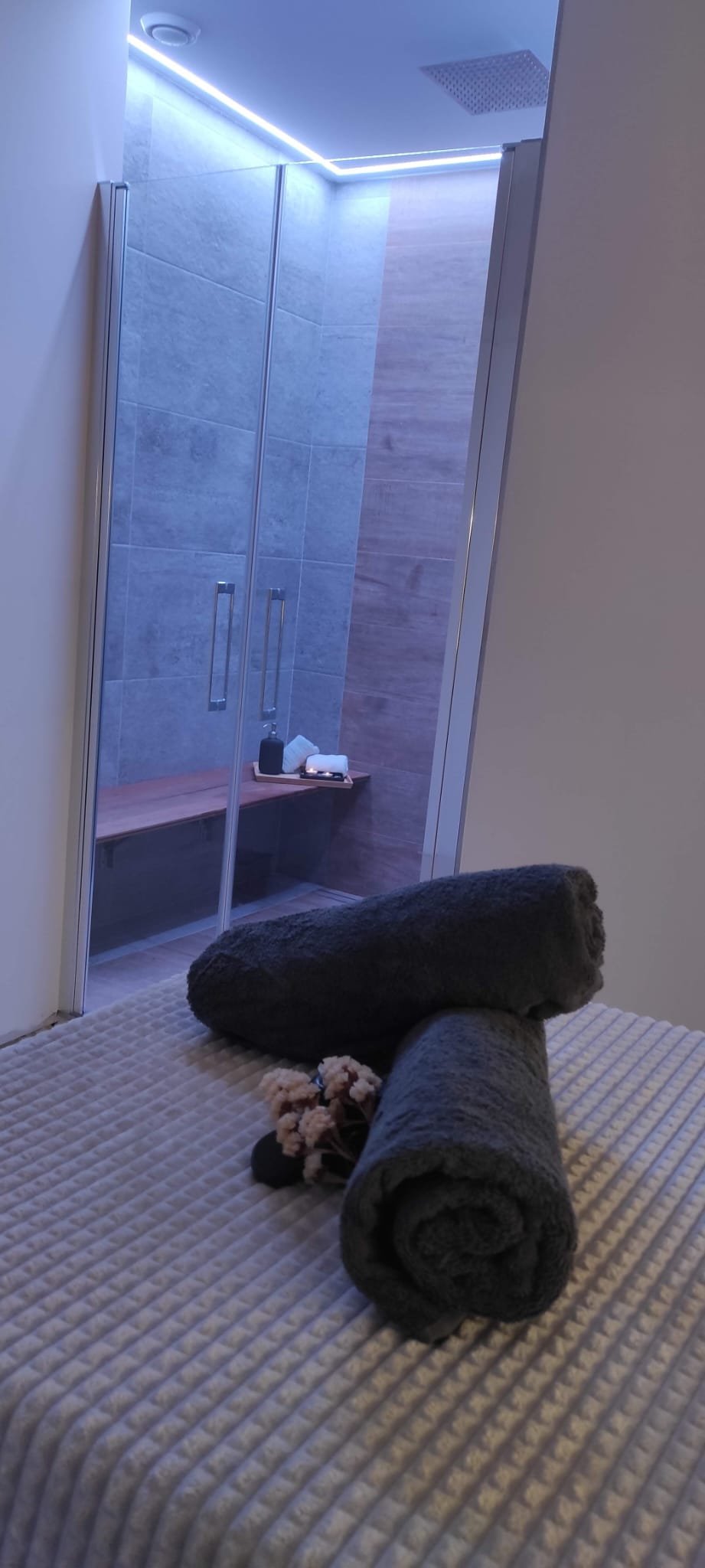 Zona de Bienestar Corporal